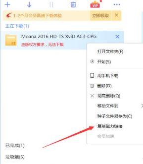 类似迅雷的软件(迅雷没有合适的软件打开)