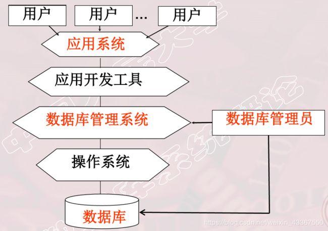 数据库管理系统由什么组成(数据库管理系统由哪些部分组成)