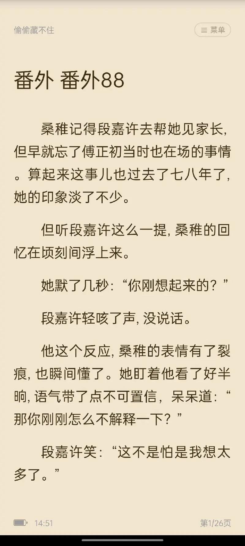 偷偷藏不住婚后番外篇完整版(土剧另一面的我免费看)