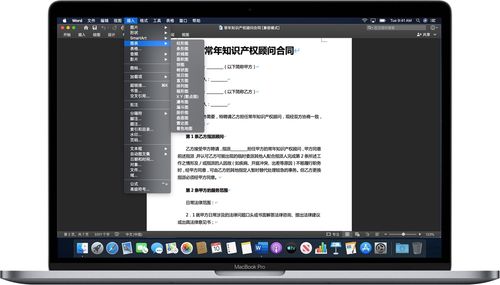 编辑文档的软件有哪些(编辑文档的软件叫什么)
