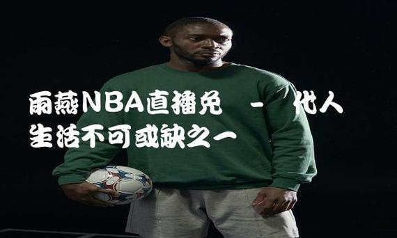 雨燕360体育免费nba(360体育免费nba)