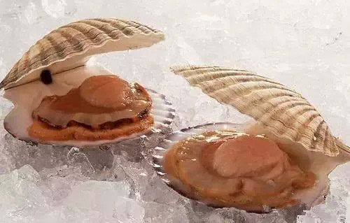 把跳d放在里面坐公交车(把腿张大点我就可以吃到扇贝了)