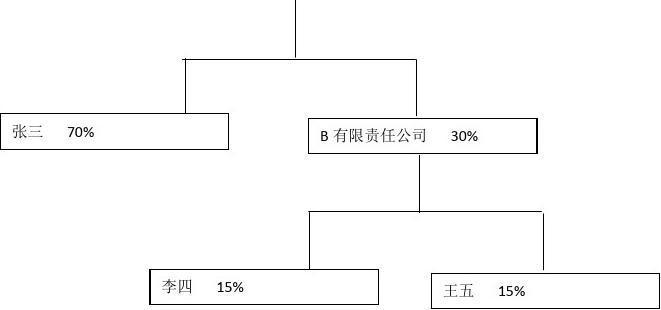 股权结构图用什么软件画(股权结构图用什么软件画出来)