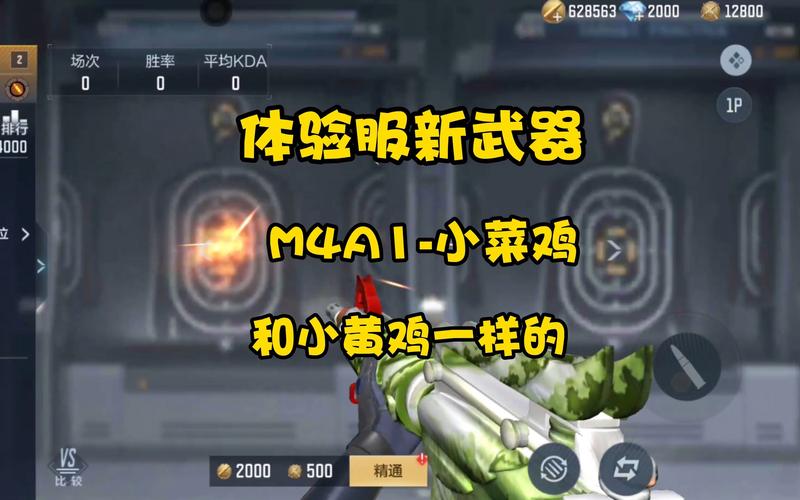 穿越火线体验服外挂(cf手游体验服免费辅助挂)