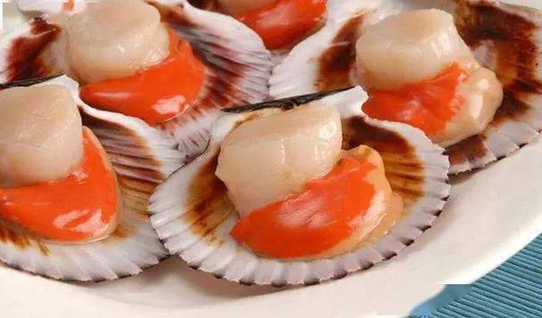 把你的扇贝打开让我进去