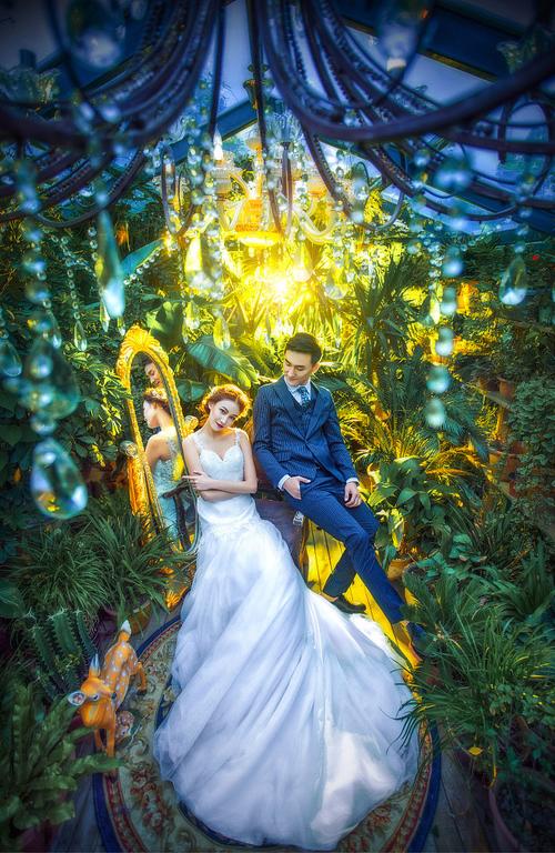 花房姑娘电影未删减版(花魁的玩物TXT新浪)