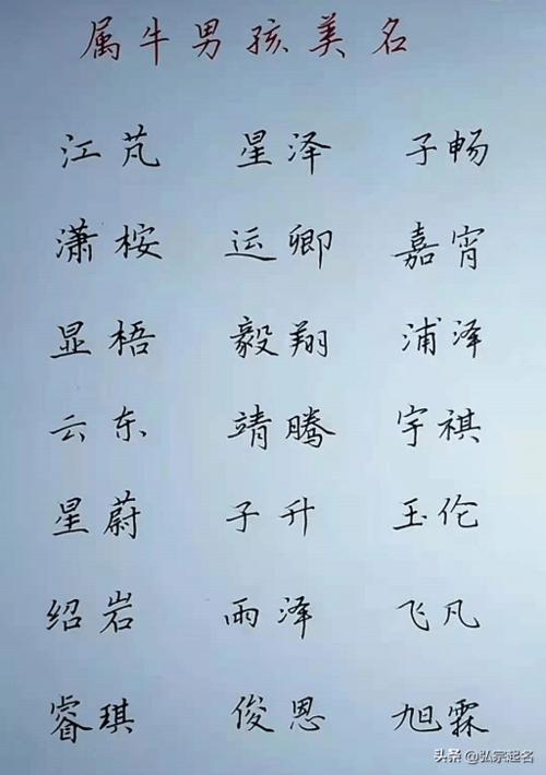 牛年男孩起什么名字好(牛年男孩子起什么名字好)