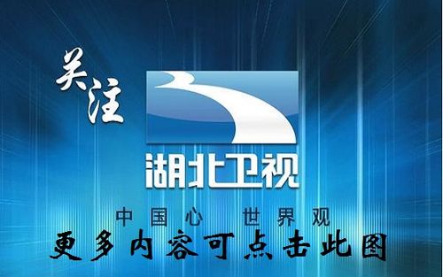 湖北电视台在线观看(湖北卫视回放免费观看)