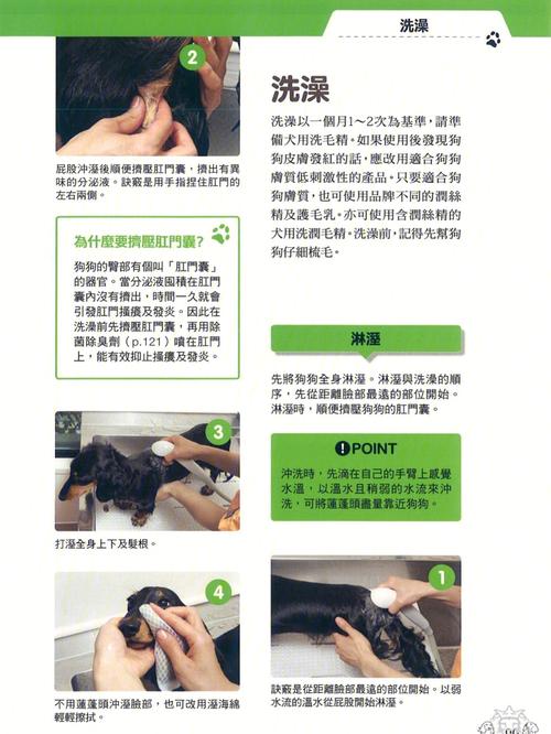 狗狗币怎么用(狗狗币操作流程)