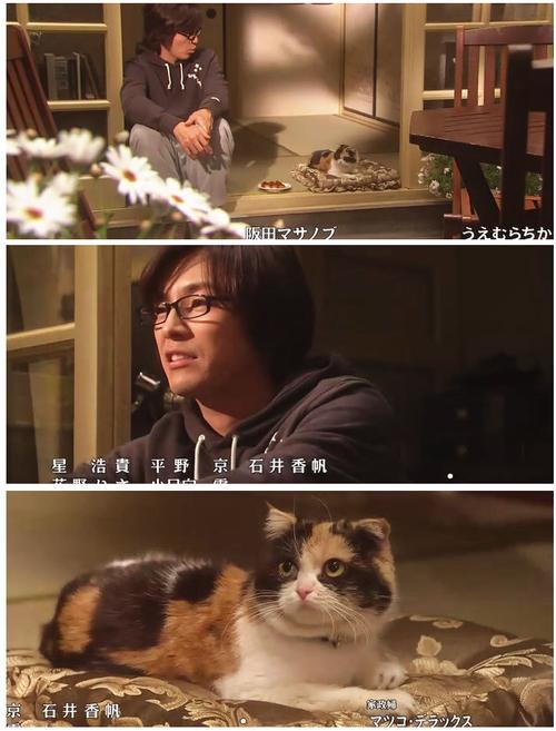 三色猫福尔摩斯的推理(骚妇湿的流了太喜欢插着)
