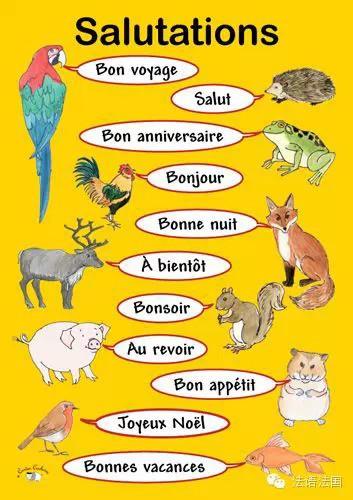 西语助手在线词典(西语助手在线词典英汉互译)