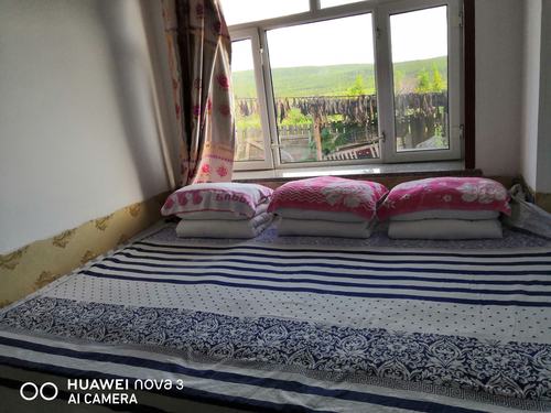 东北大坑续集1至60(东北大暖炕)