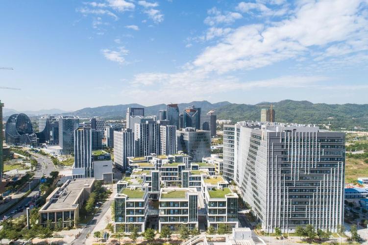 远光软件国企看门狗(远光软件是外包公司吗)