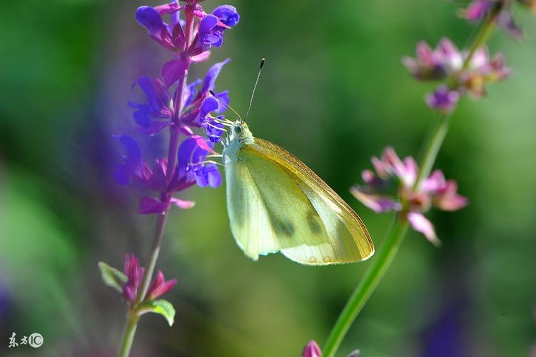 floor是什么意思(sikafloor是什么意思)
