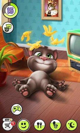 最新猫咪破解版永久