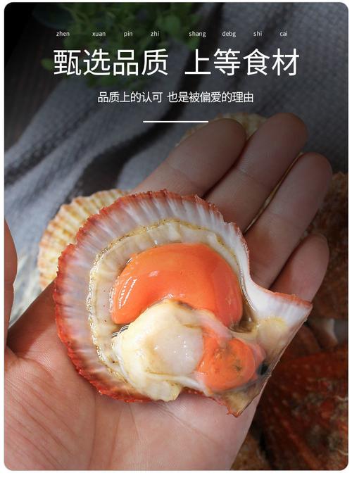 宝贝腿再张大点就能吃到扇贝了(宝贝我想尿在里面h)