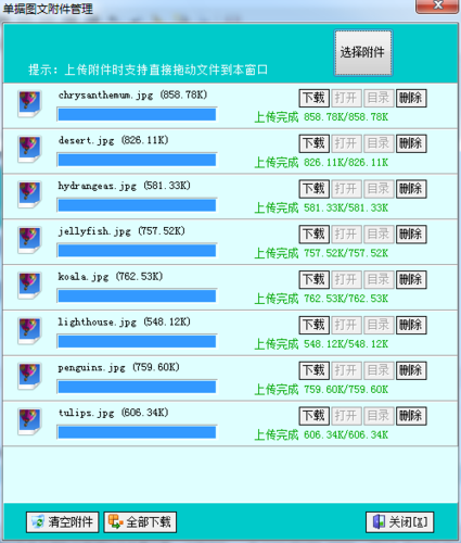 飞扬动力软件(飞扬动力软件是什么)