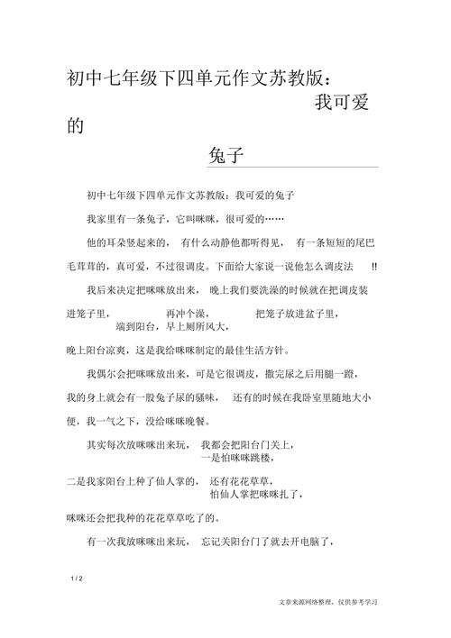 老师没有带罩子让我练了一节课(老师你的兔子好软水好多的作文)