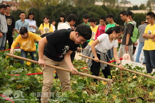 拔萝卜校园1v1 拔萝卜校园1v1