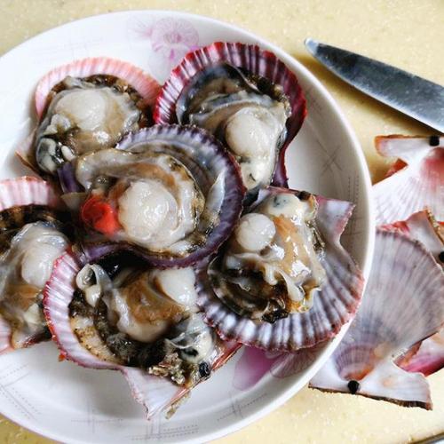 腿再张大点就可以看到小扇贝(腿张大点就可以吃扇贝了)