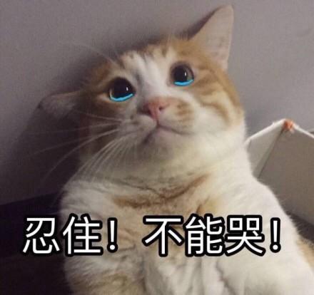 才进了个头就开始哭了(才进去就关门谜底是什么)