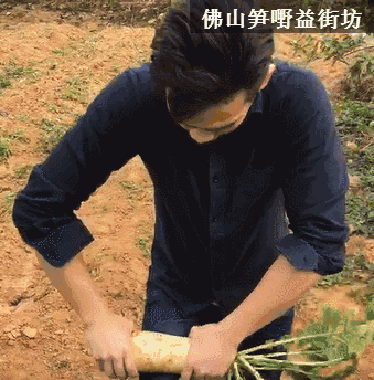 拔萝卜(把护士强奷到舒服的动态图) 拔萝卜(把护士强奷到舒服的动态图)