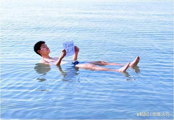 百合车车的车车网站免费