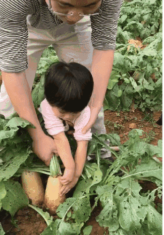 拔萝卜(把护士强奷到舒服的动态图) 拔萝卜(把护士强奷到舒服的动态图)