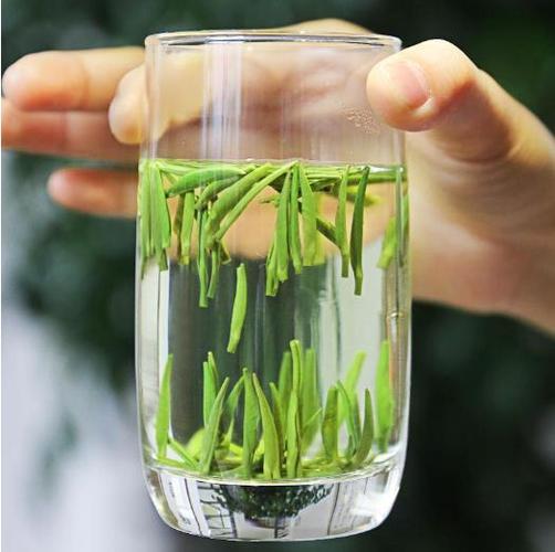 添炉烹雀舌的雀舌