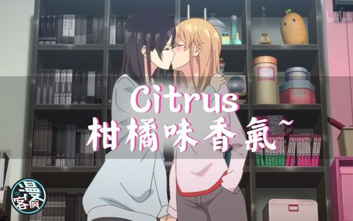 百合车车的车车网站免费(拜拜了人间录音完整版)
