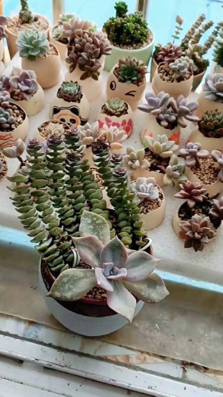 整篇都是车的多肉1V4(正能量火影网站WWW正能量) 整篇都是车的多肉1V4(正能量火影网站WWW正能量)