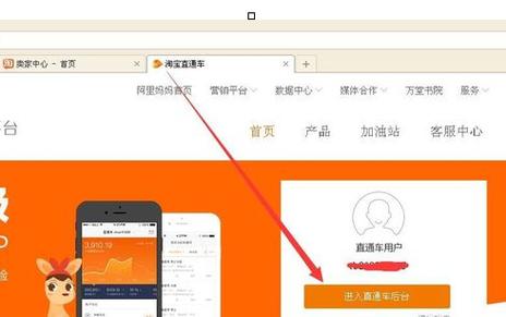 淘宝直通车助手(淘宝直通车助手在哪里找)