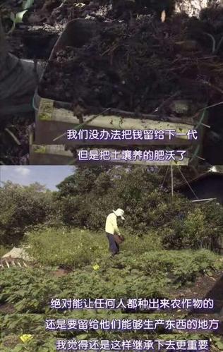 缓慢而坚定的送了进去(幻想调教adv梦魇骑士)