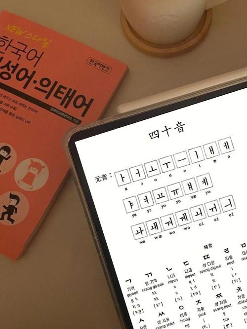 如何学韩语的基础知识(学韩语的方法技巧)