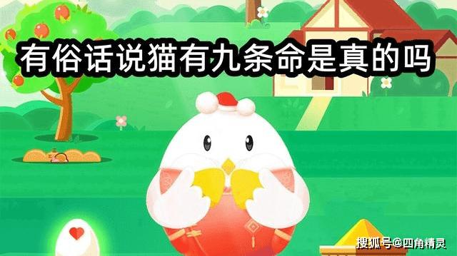 有俗语说猫有九条命蚂蚁庄园(蚂蚁歇后语成语有哪些)