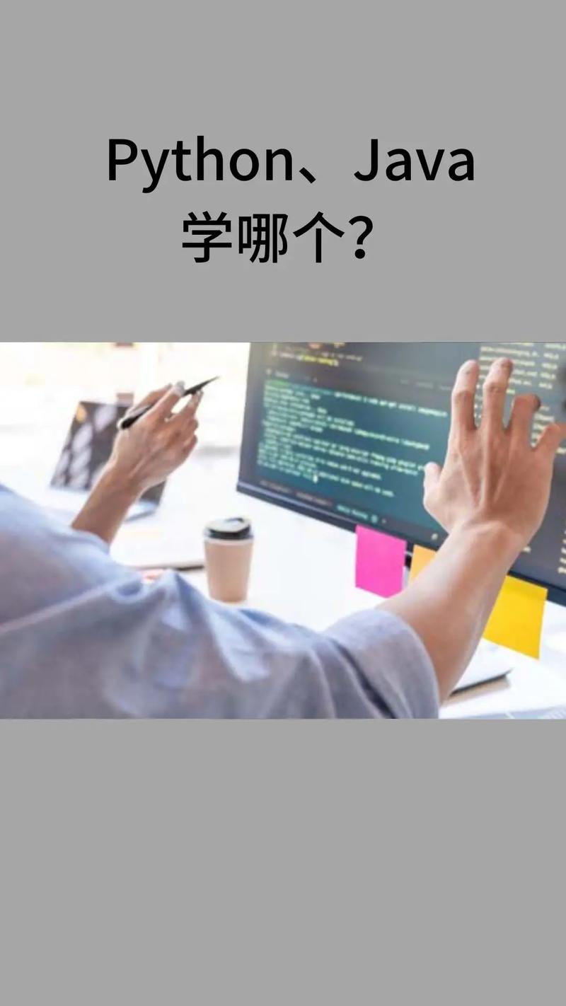 c语言和python先学哪个(c语言和python先学哪个好)