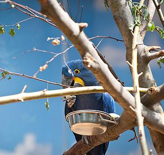 朱门绣户PO18以唇喂水(抓着腰撞了起来水流了一地)