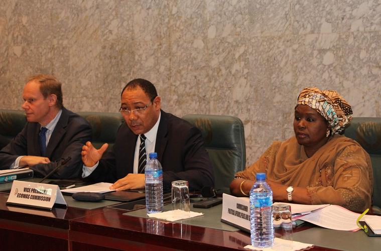 delegation是什么意思(delice是什么意思)