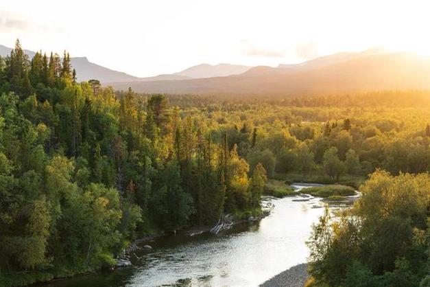 delegation是什么意思(delice是什么意思)