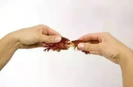 一层一层的剥开我的衣服啊(一抽一出是什么感觉)