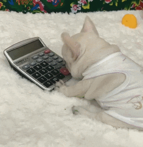 坐在发紫的巨龙上写作业(坐在学长的ji巴做作业)