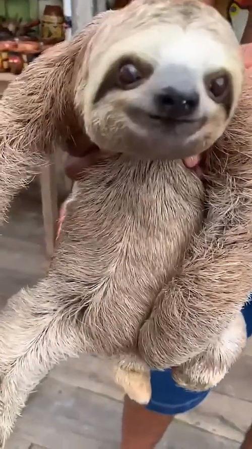 拔擦拔擦8X高清在线永久域名(把狗狗的大东西放在里面)