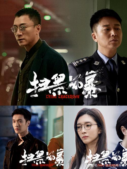 扫黑风暴在线观看免费完整版(扫黑行动在线观看免费完整版)