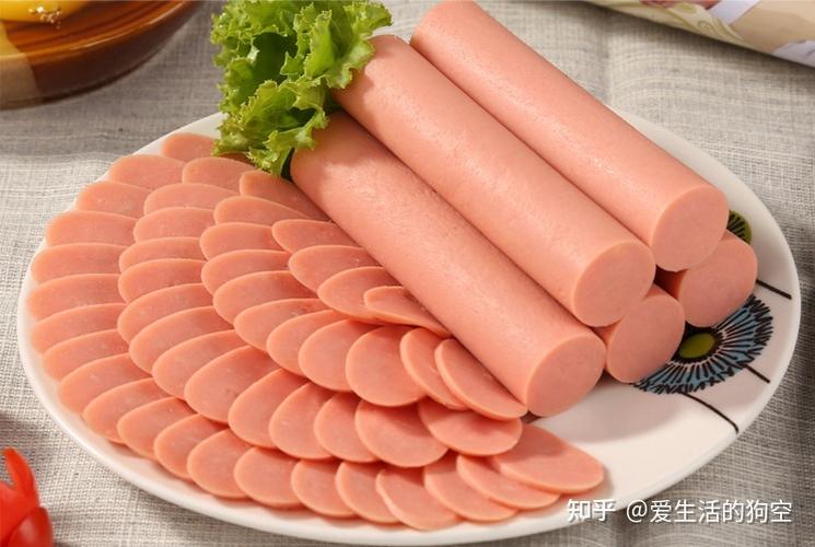 现言很肉到处做现言推荐知乎(1v2笔趣阁)