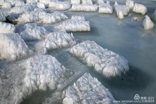 百何每天都是被C着醒的(拜托了老师哪一集h)