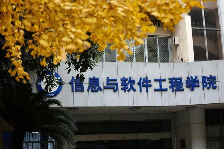 电子科技大学软件技术基础那个老师给分高(电子科技大学软件工程和计算机科学与技术)