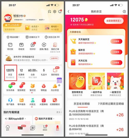 我的积分查询(查一下我的积分有多少)