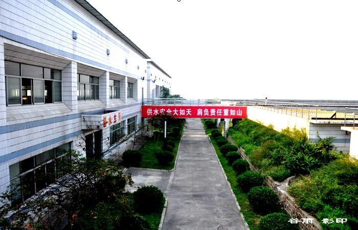 柠檬体育(体育免费高清在线观看)
