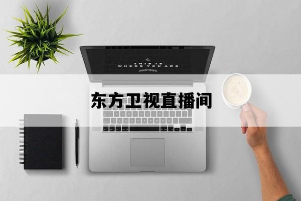 浙江卫视在线观看高清(东方卫视节目在线)