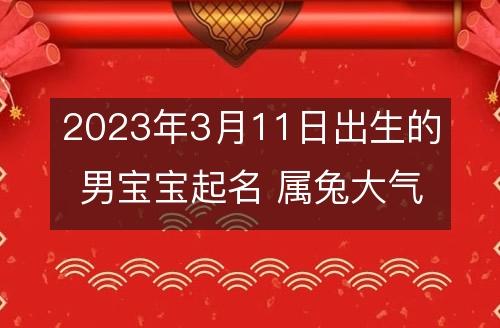 宝宝起名免费软件(宝宝起名2023年属兔)
